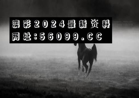 2023澳门资料大全免费12月,最佳精选数据资料_手机版24.02.60