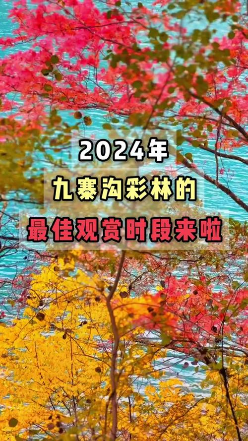 澳门大全正版资料2024年免费,最佳精选数据资料_手机版24.02.60