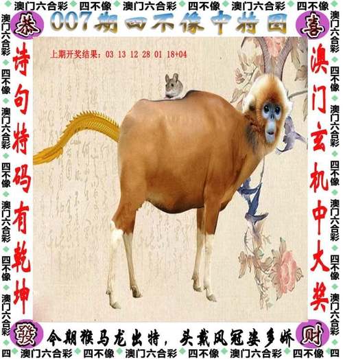 2005新澳门天天开好彩和打死父亲其母欲顶罪与打死父亲其母欲顶罪的小说