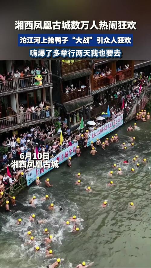 下载中心 第12页